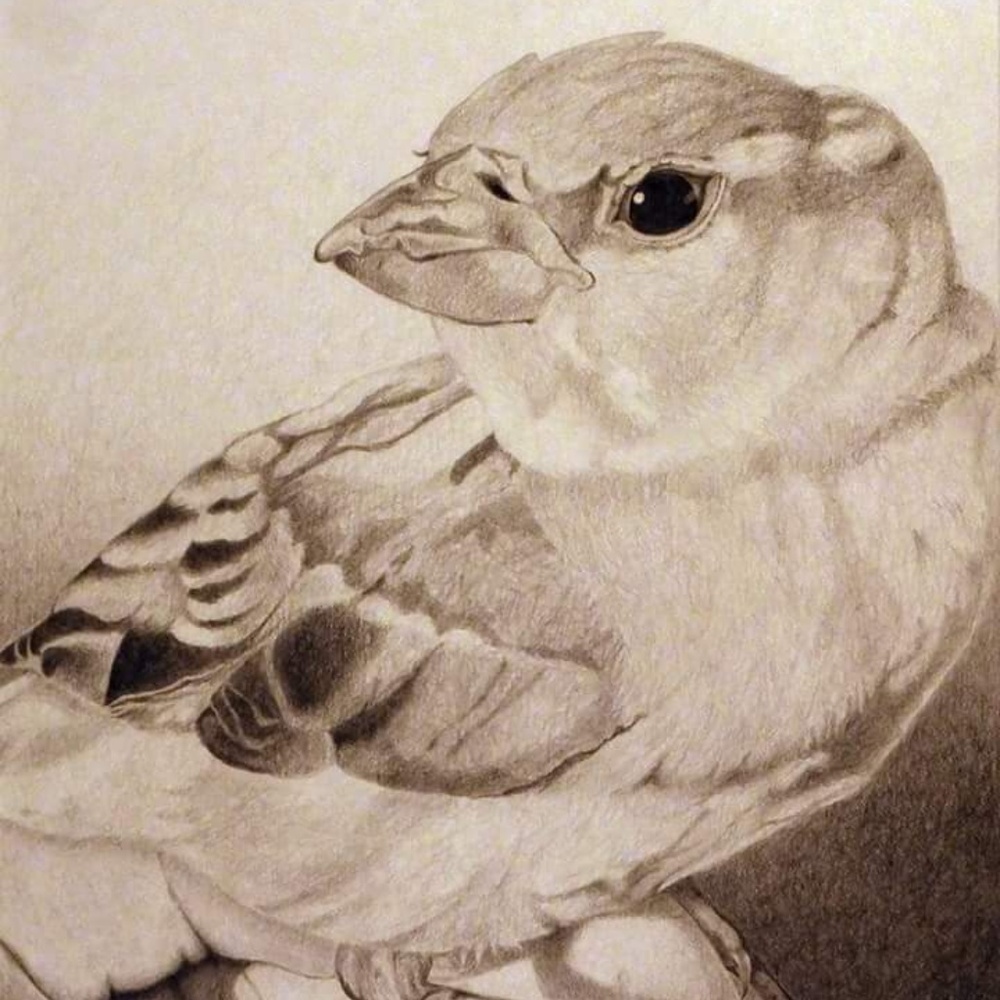 A Bird in the Hand